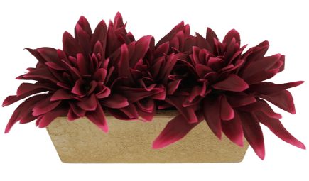 Potted Dhalia Tray 11cm