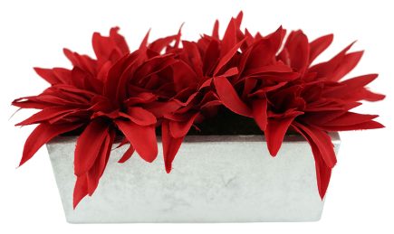 Potted Dhalia Tray 11cm