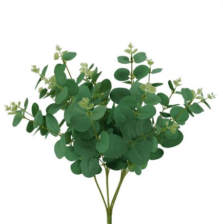 Eucalyptus Bush 50cm