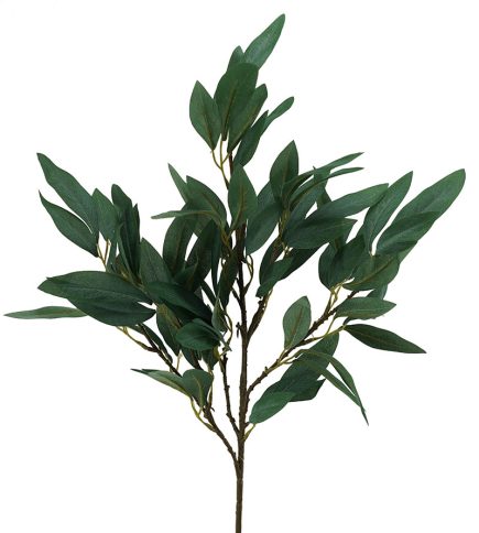Lanceolate Leaf Bush  73cm