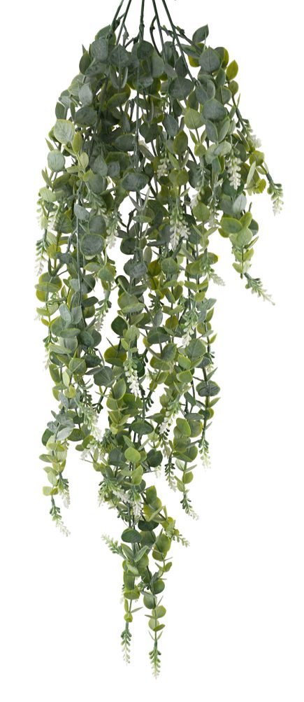 Hanging Lavender Bush 80cm
