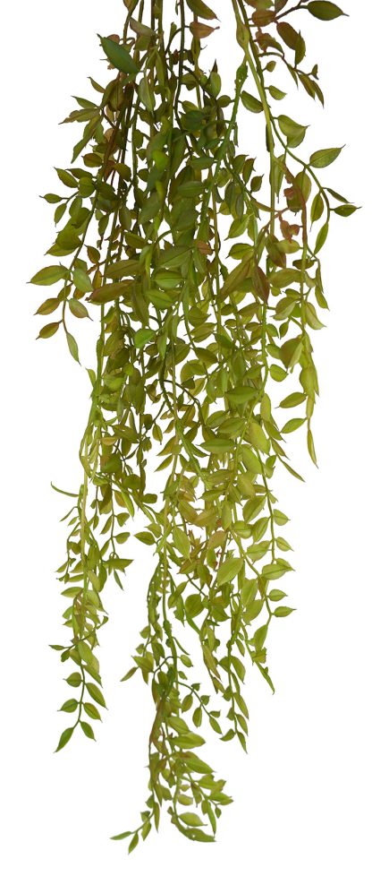 Hanging Ruscus Bush 90cm