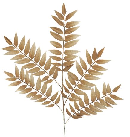 Dried Leaf Spray 103Ccm