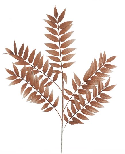 Dried Leaf Spray 103Ccm