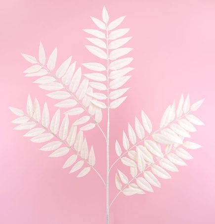 Dried Leaf Spray 103Ccm