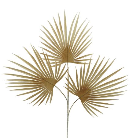 Dried Palm Spray 72cm