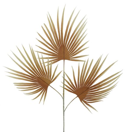 Dried Palm Spray 72cm