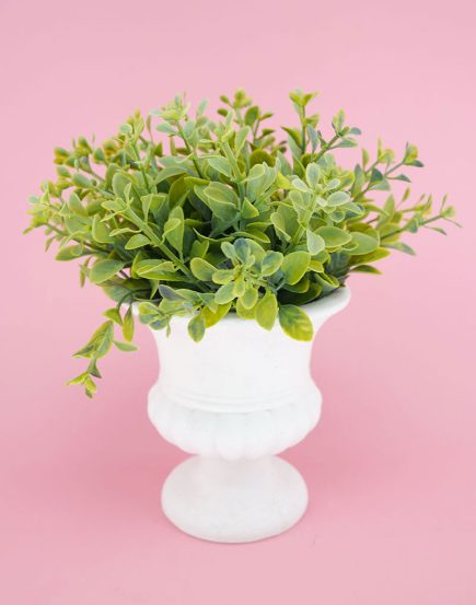 Potted Urn Plant 25cm