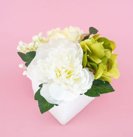 Potted Mix Peony BQT 16cm