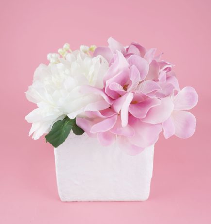 Potted Mix Peony BQT 16cm