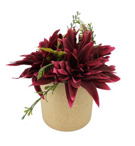 Potted Dhalia 17cm
