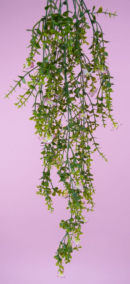 Hanging Flowering Bush 76cm