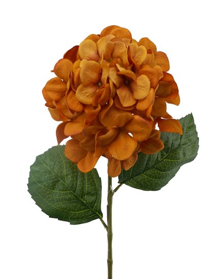 Hydrangea Stem 70CM