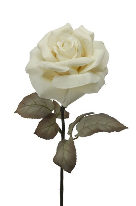 Holand Rose stem 67CM