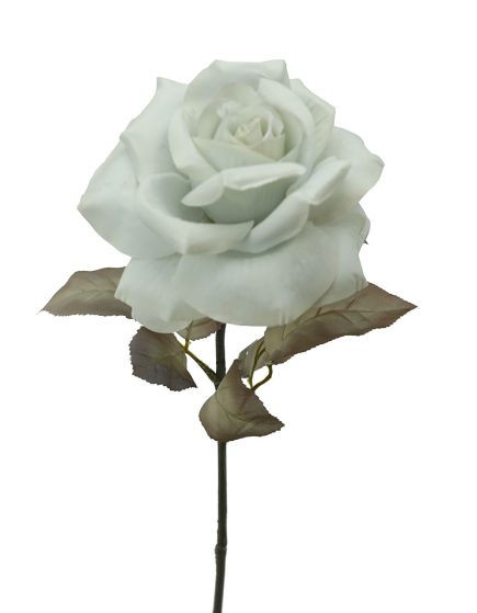 Holand Rose stem 67CM