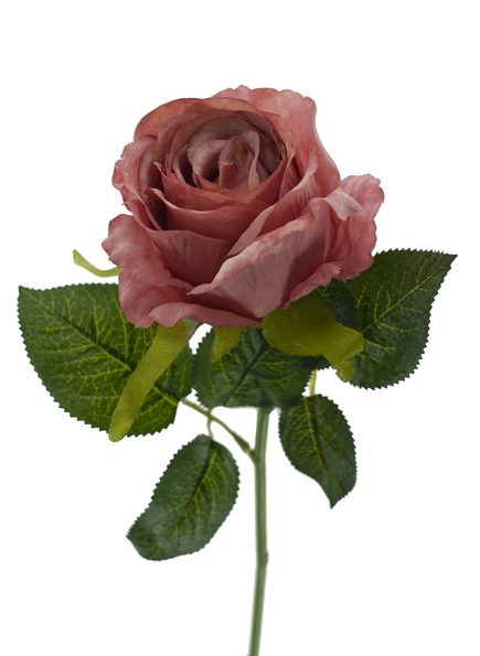 Single Open Rose Stem 36cm