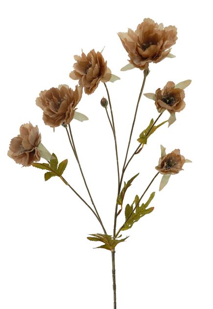 Dried Peony Spray 78cm