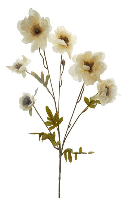 Dried Peony Spray 78cm