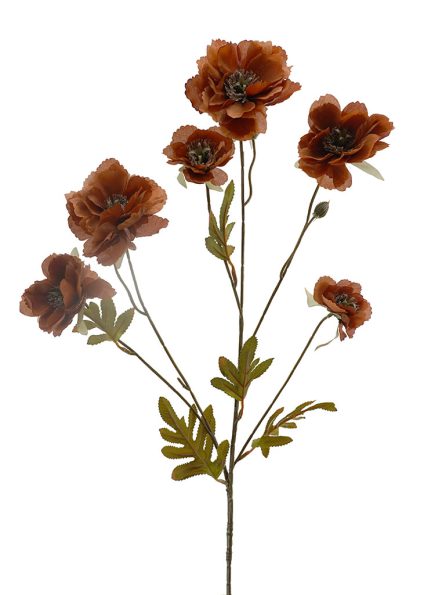 Dried Peony Spray 78cm