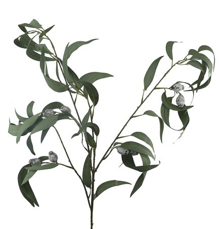 Eucalyptus Gum/W Spray 104cm
