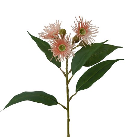 Flowering Eucalyptus Spray 64cm