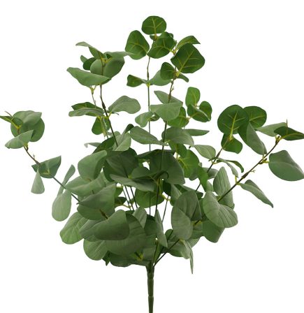 Eucalyptus Bush 50cm