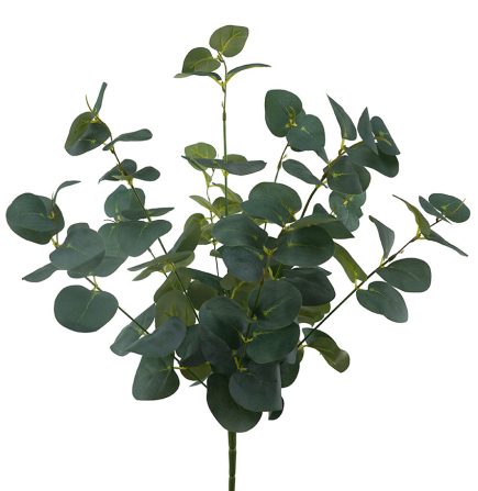 Eucalyptus Bush 50cm