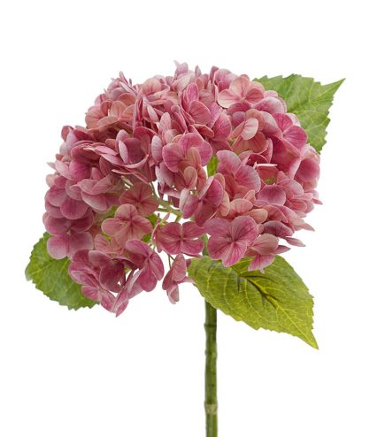 RT Hydrangea Stem 51cm
