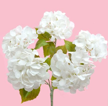 RT Hydrangea Bush 50cm