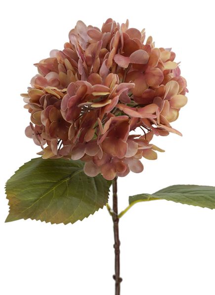 RT Hydrangea Stem 53cm