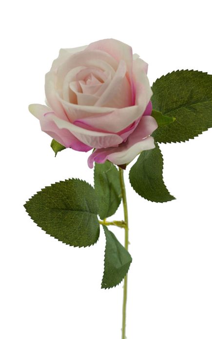 Mini Velvet Rose Stem 51cm