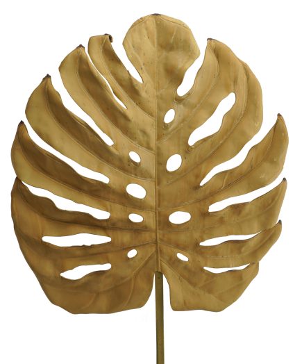 Dried Monstera Stem 89cm