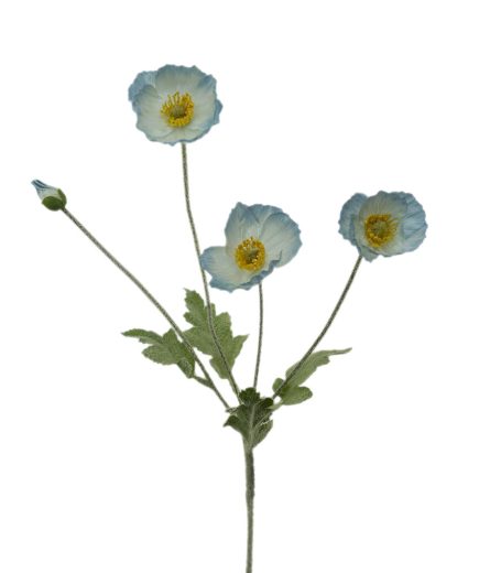 4H Poppy Stem 60CM