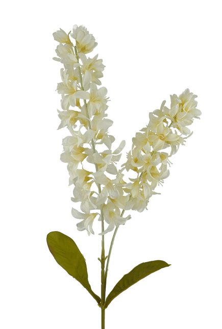 Dried Stock Stem 100cm