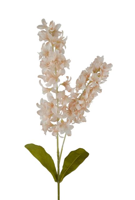 Dried Stock Stem 100cm