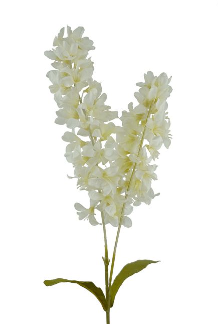 Dried Stock Stem 100cm