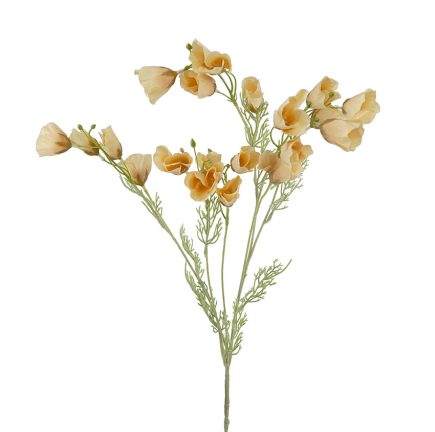 Dried Poppy Spray 90cm