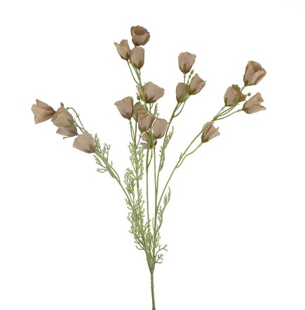 Dried Poppy Spray 90cm