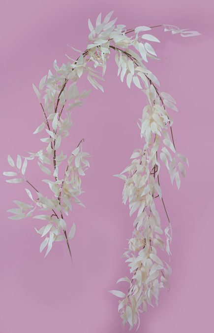 Ruscus Garland 170cm