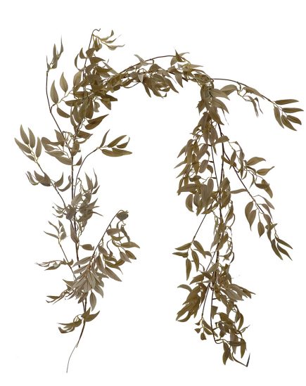 Ruscus Garland 170cm