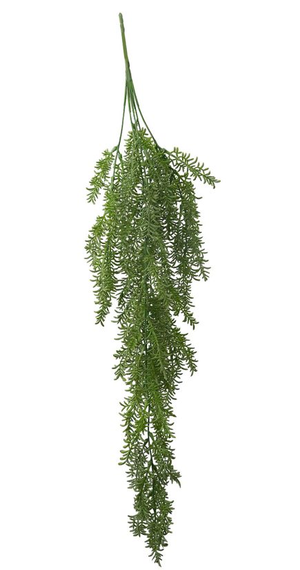 String of Banana Hanging Bush