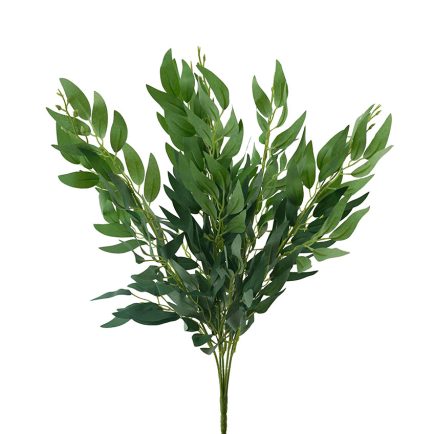 Ruscus Bush 50cm