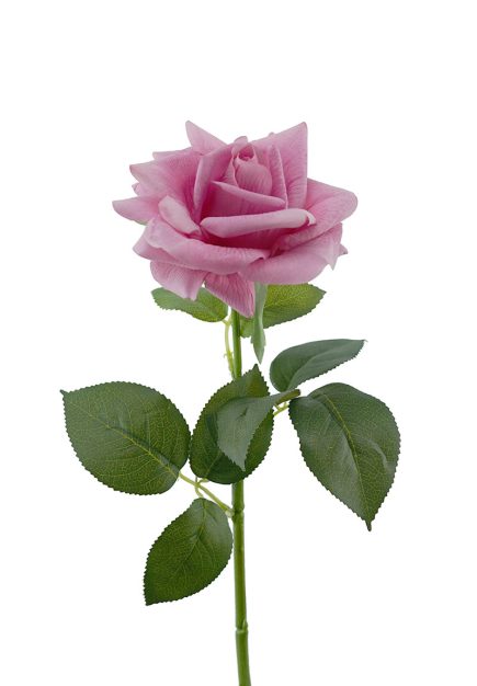 Real Touch Ecuador Rose 73cm