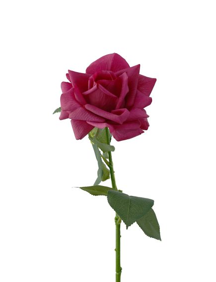 Real Touch Ecuador Rose 73cm