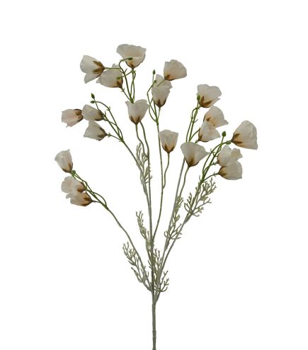 Dried Poppy Spray 90cm