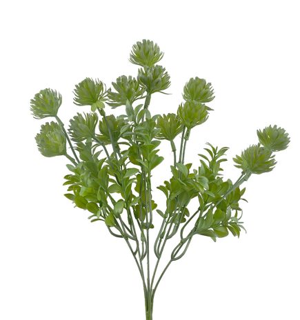 Succulent Bush 40cm