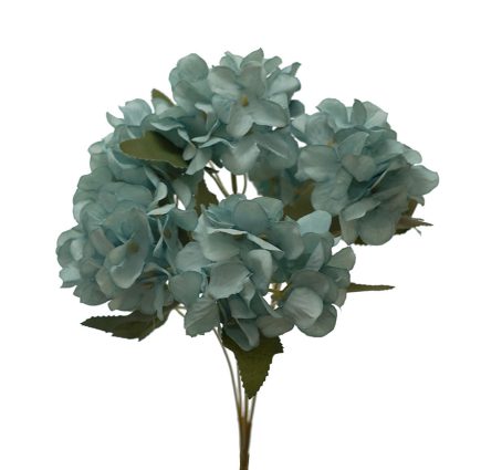 Hydrangea Bush 19cm