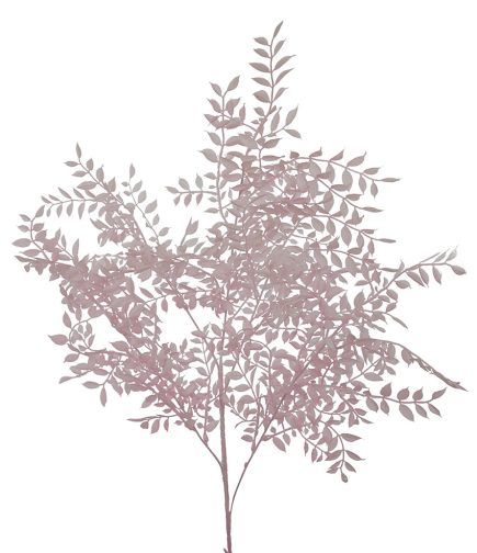 Ruscus Spray 105cm