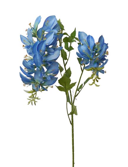 Erythrina Stem 103cm