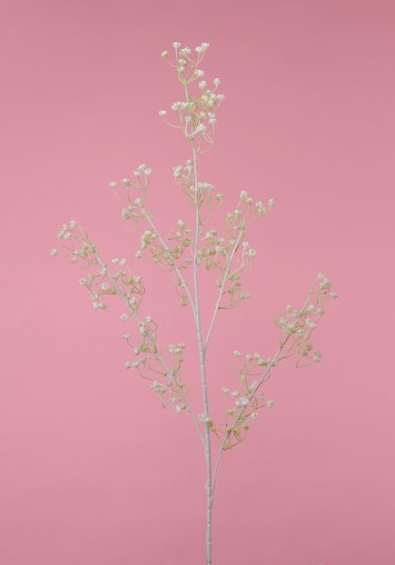 Blossom Baby's Breath Spray 98